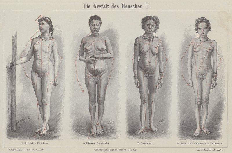Die menschliche Figur (Stich) von German School