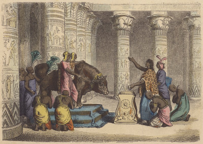Verehrung des Apis-Stiers im alten Ägypten von German School