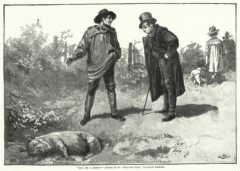 "Ist sie nicht eine Schönheit?" (Gravur) von Gordon Frederick (after) Browne