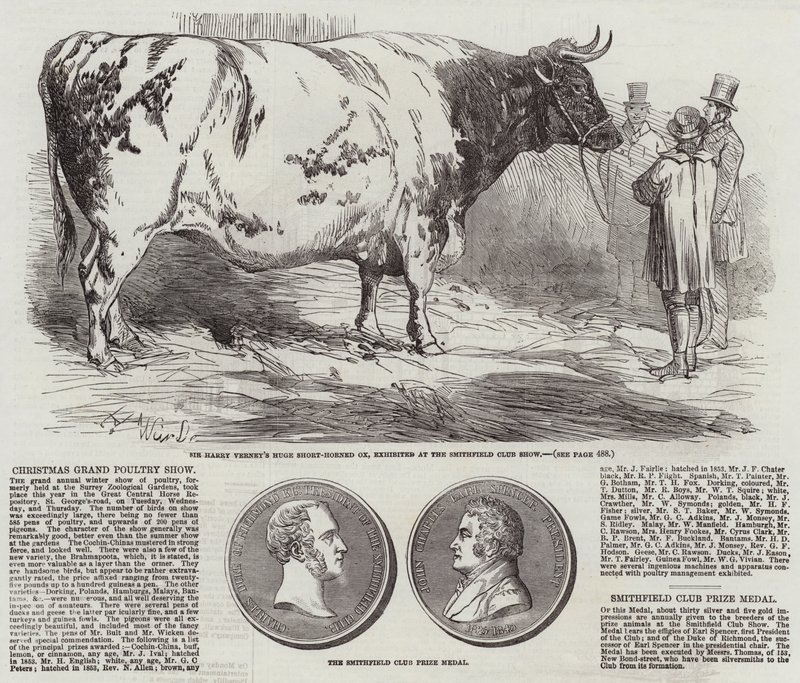Weihnachtliche Geflügelschau von Harrison William Weir