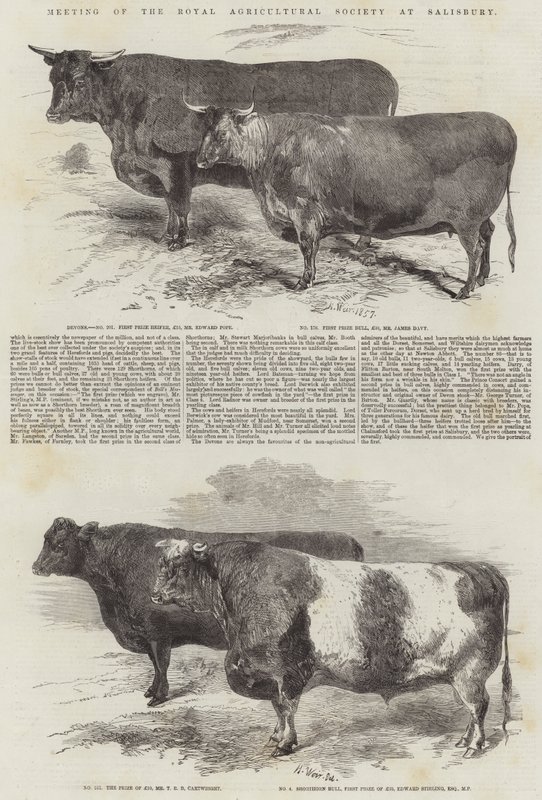 Treffen der Royal Agricultural Society in Salisbury von Harrison William Weir