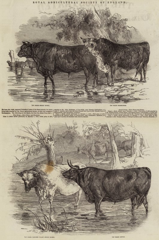 Royal Agricultural Society of England von Harrison William Weir