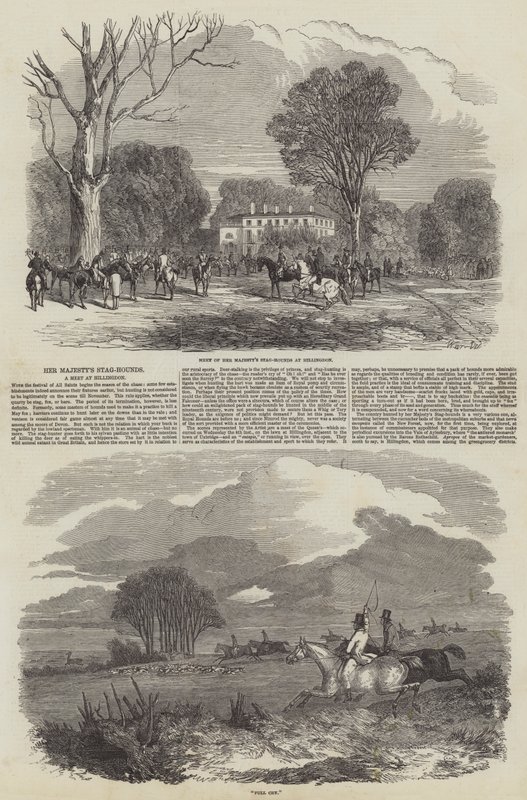 Die Jagdhunde Ihrer Majestät in Hillingdon von Harrison William Weir