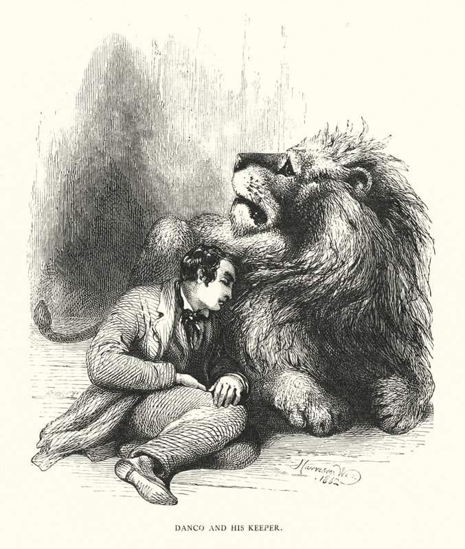 Löwe und sein Wärter (Gravur) von Harrison William Weir