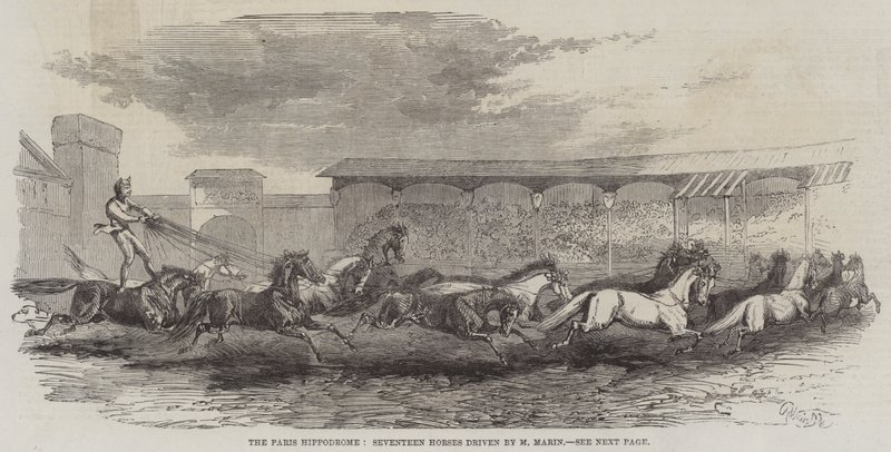 Das Pariser Hippodrom, Siebzehn Pferde gefahren von M. Martin von Harrison William Weir