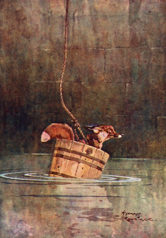 Der Wolf und der Fuchs von Harry Rountree