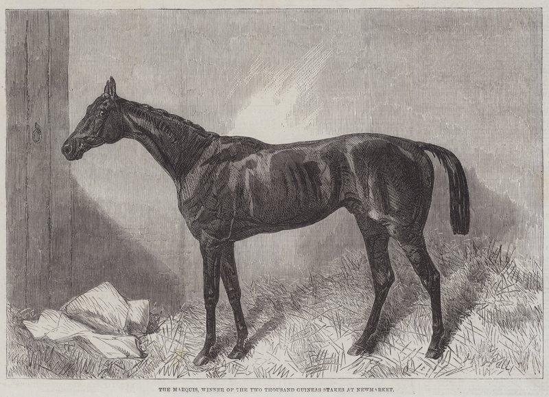 Der Marquis, Gewinner der Two Thousand Guineas Stakes in Newmarket von Harry Hall