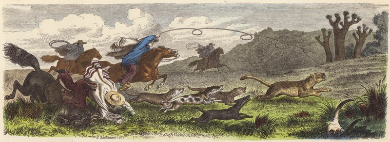 Puma-Jagd mit Lassos in Brasilien von Heinrich Leutemann