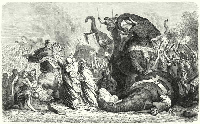 Die Schlacht von Asculum, 279 v. Chr. (Gravur) von Heinrich Leutemann