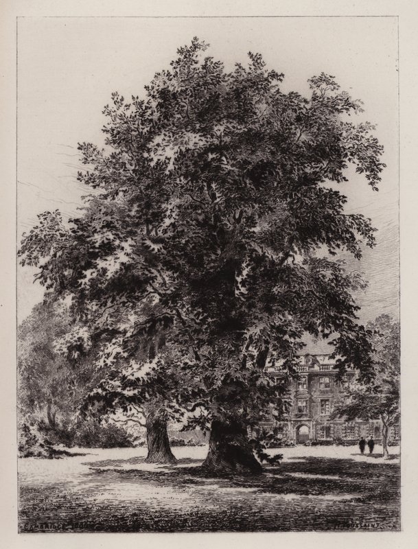 Cambridge: Der Garten des Christ