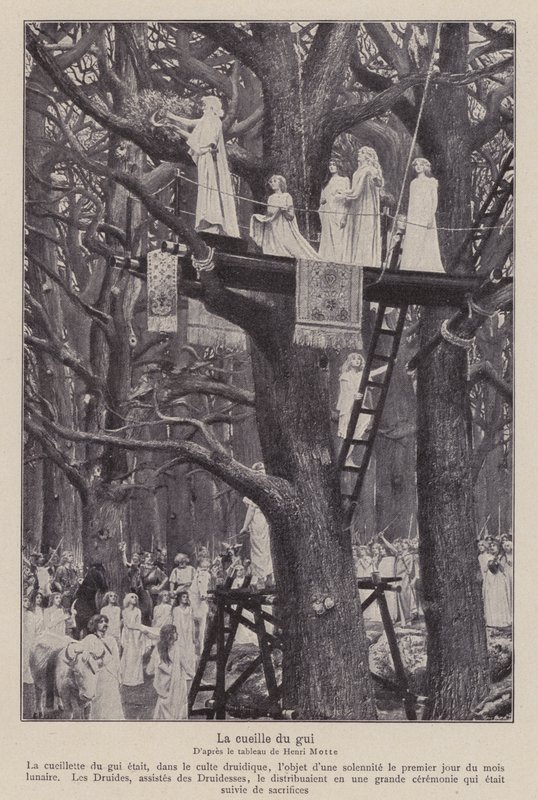 Druiden schneiden die Mistel am sechsten Tag des Mondes (Lithografie) von Henri Paul (after) Motte