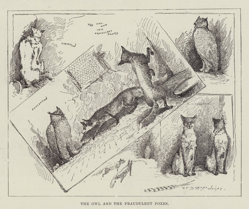 Die Eule und die betrügerischen Füchse von Henry Charles Seppings Wright