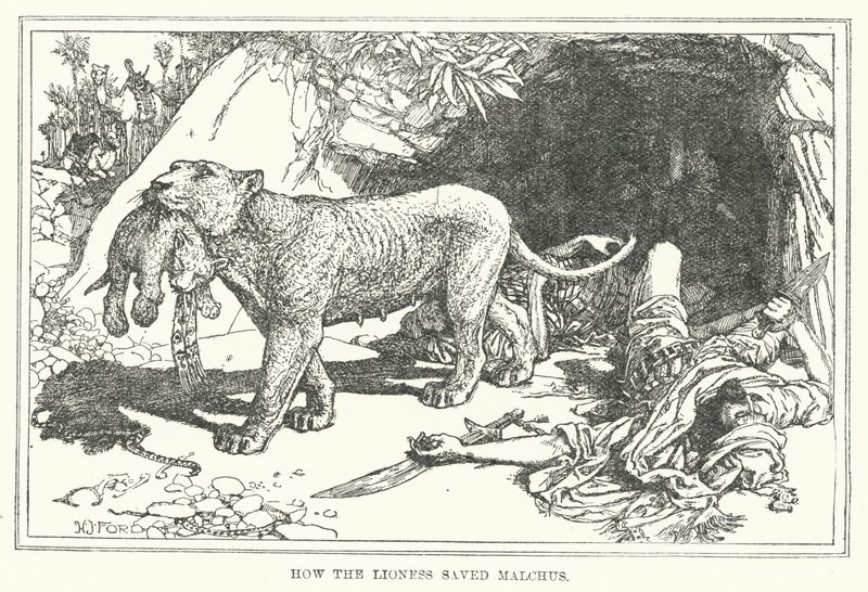 Wie die Löwin Malchus rettete von Henry Justice Ford