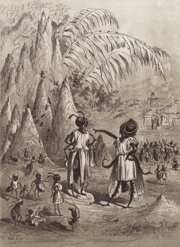 Die Fabeln des Äsop: Die Ameise und die Fliege (Lithografie) von Henry Louis Stephens
