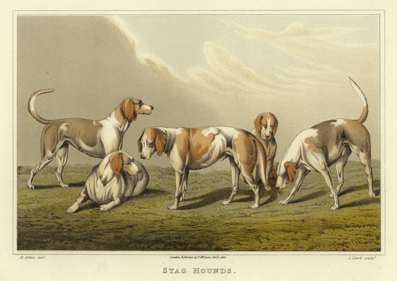 Hirschhunde (Chromolithographie) von Henry Thomas Alken