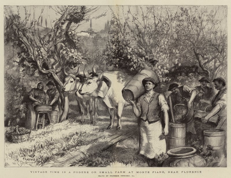 Weinlesezeit in einem Podere oder kleinen Bauernhof in Monte Fiano, in der Nähe von Florenz von Hubert von Herkomer