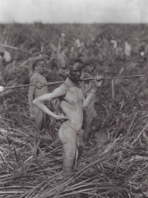 Afrika: Nuer-Krieger im Sumpf von Hugo Adolf Bernatzik