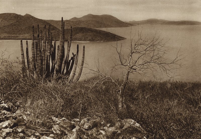 Mexiko: Nahe der Küste von Baja California von Hugo Brehme