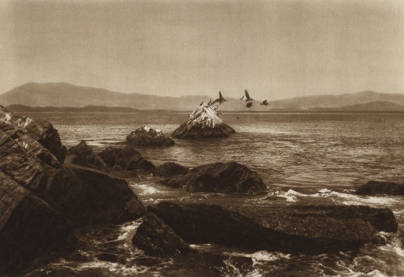 Mexiko: Costa de Manzanillo, Pelikane, Bundesstaat Colima von Hugo Brehme