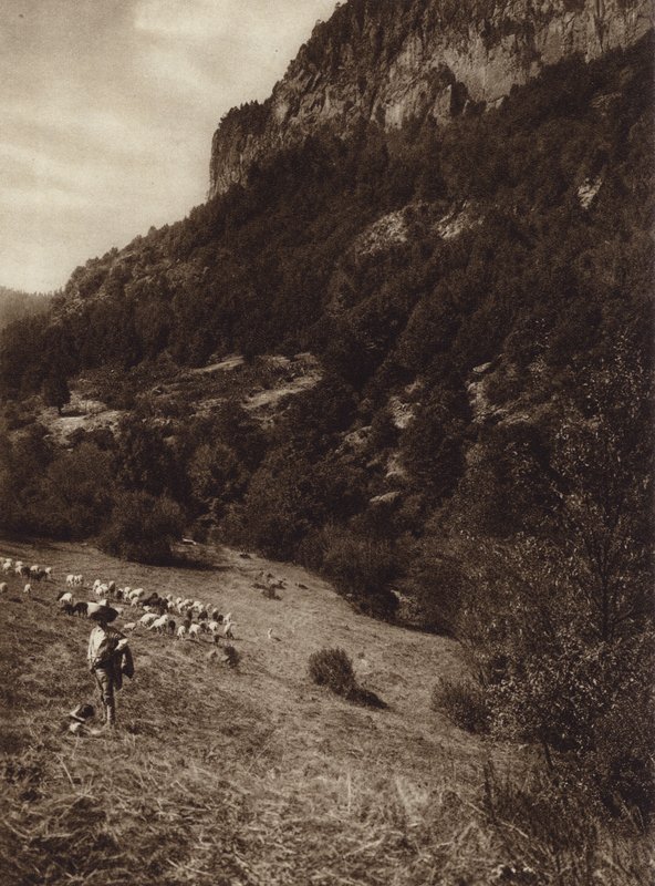 Mexiko: La Canada, Contreras, D.F. von Hugo Brehme