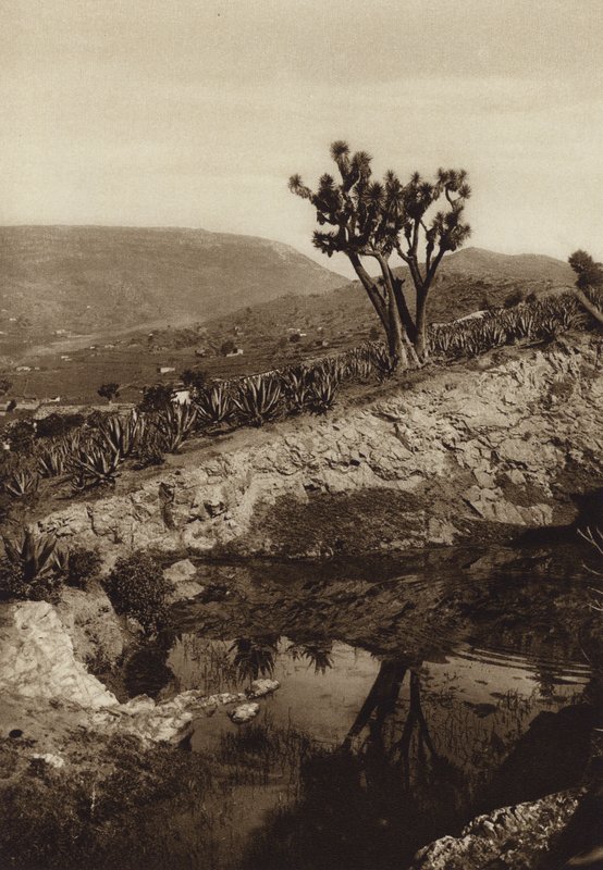 Mexiko: Die Umgebung von Toluca von Hugo Brehme