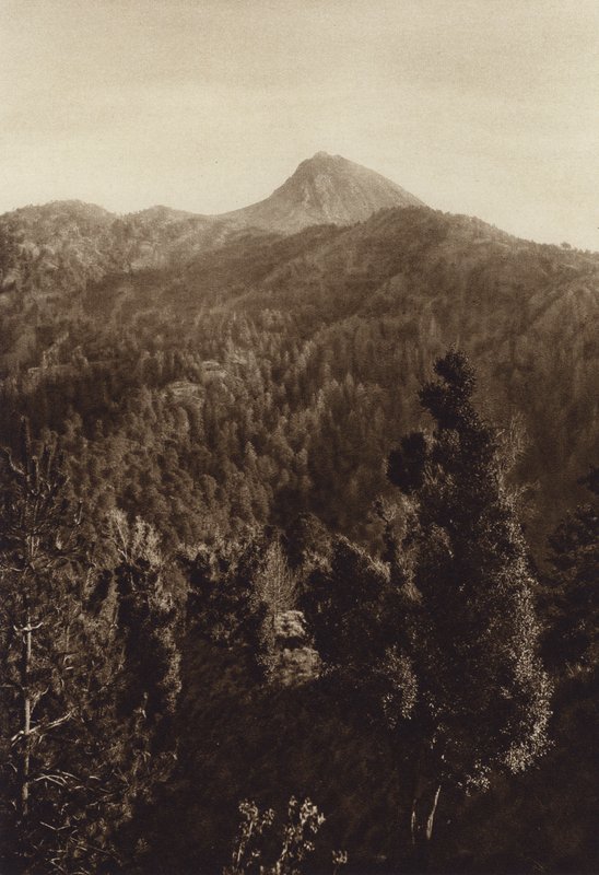 Mexiko: Nevado de Colima, Teilansicht von Hugo Brehme