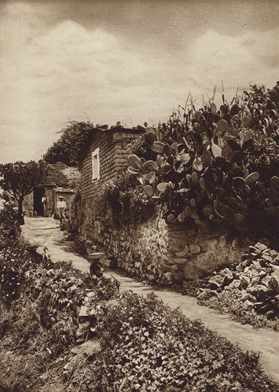 Mexiko: Malerische Ecke in San Angel D F von Hugo Brehme