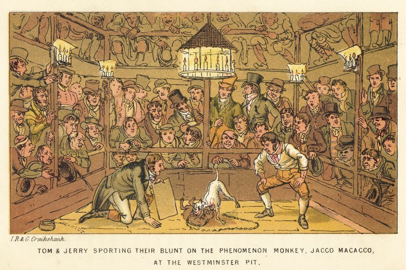 Tom und Jerry geben ihr Geld für das Phänomen Monkey, Jacco Macacco, im Westminster Pit aus von Isaac, Robert and George Cruikshank