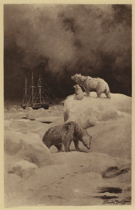 Peary in den arktischen Regionen von J. (after) Steeple Davis