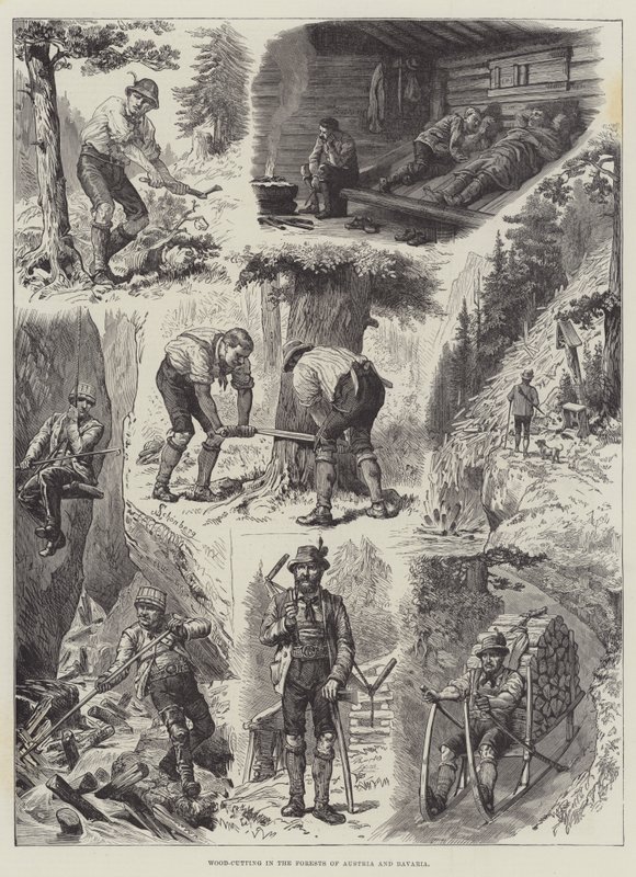 Holzfällarbeiten in den Wäldern von Österreich und Bayern von Johann Nepomuk Schonberg
