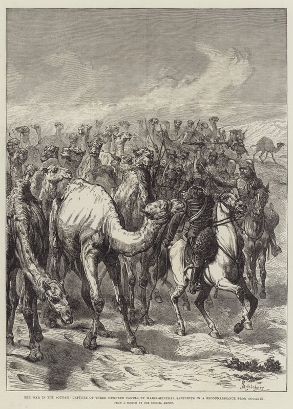 Der Krieg im Sudan, Eroberung von dreihundert Kamelen durch Generalmajor Sartorius bei einer Aufklärung von Souakim von Johann Nepomuk Schonberg