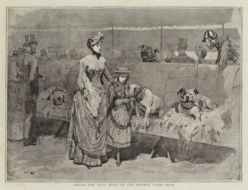 Unter den Bulldoggen auf der Ausstellung des Kennel Clubs von John Charles Dollman