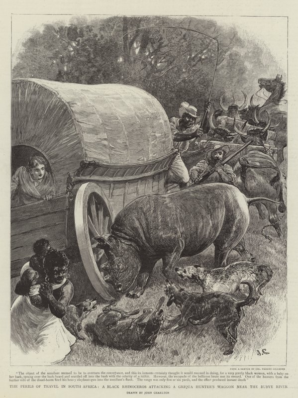 Die Gefahren des Reisens in Südafrika, ein Schwarzes Nashorn greift den Wagen eines Griqua-Jägers in der Nähe des Bubye-Flusses an von John Charlton
