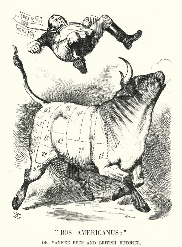Punch-Karikatur: Bos Americanus; oder, Yankee Beef und britischer Metzger - erwartete Vorteile für Verbraucher durch den Import von amerikanischem Fleisch (Stich) von John (after) Tenniel