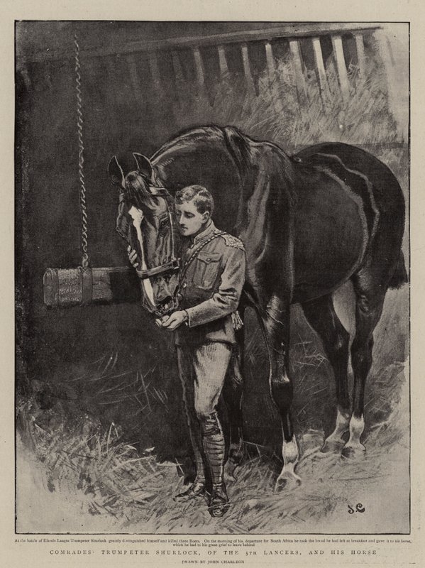 Kameraden, Trompeter Shurlock von den 5. Lanzern und sein Pferd von John Charlton