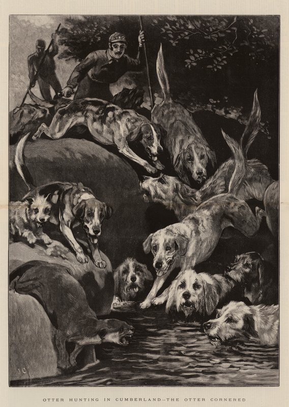 Otterjagd in Cumberland, der Otter in die Enge getrieben von John Charlton