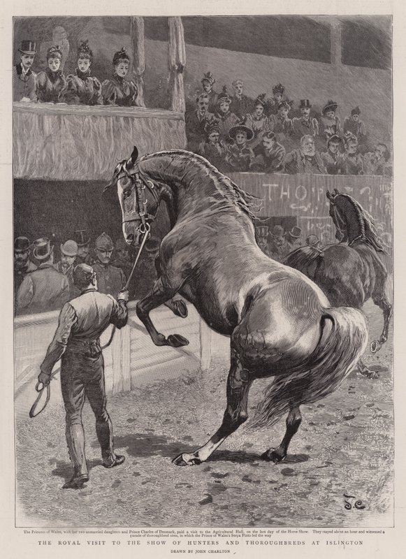 Der königliche Besuch der Ausstellung von Jägern und Vollblütern in Islington von John Charlton