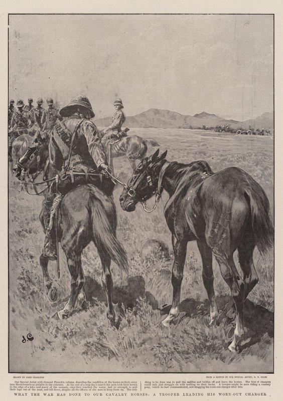 Was der Krieg unseren Kavalleriepferden angetan hat, ein Soldat führt sein erschöpftes Pferd von John Charlton