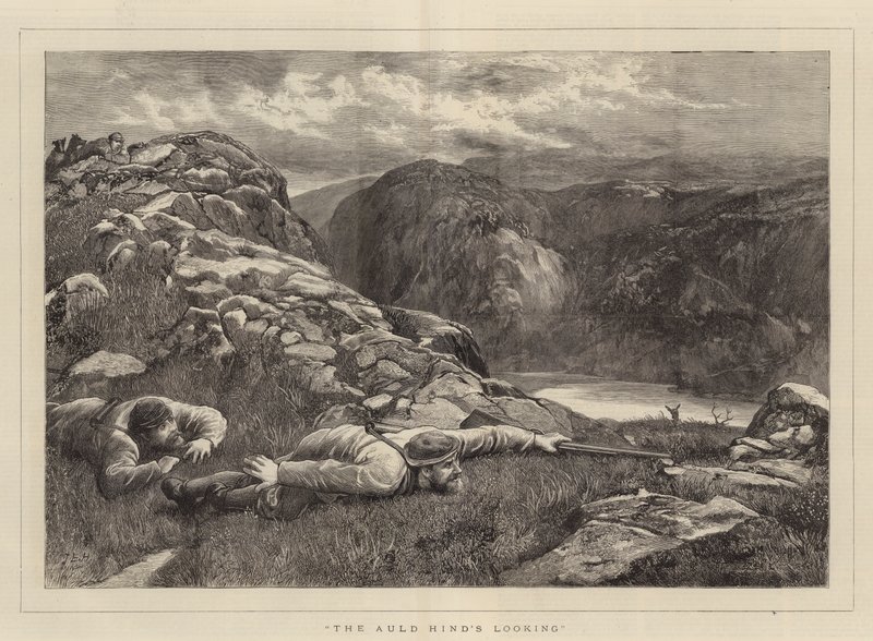 Der Blick des alten Hirsches von John Evan Hodgson