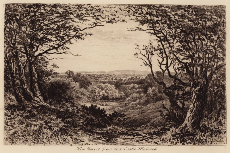 New Forest nahe Schloss Malwood von John Fullwood