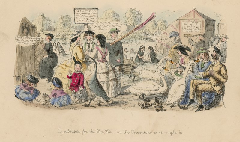 Ein Ersatz für die Küste; oder, die Serpentine, wie sie sein könnte von John Leech