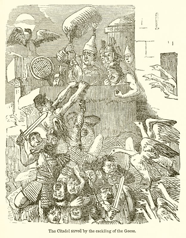 Die Zitadelle gerettet durch das Geschnatter der Gänse von John Leech