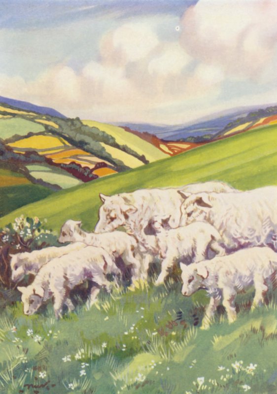 Illustration für Beautiful Joe von Marshall Saunders von John Nicholson