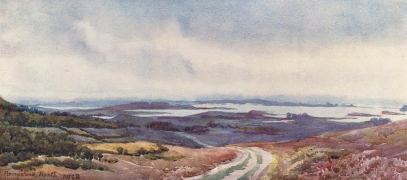Poole Harbour von Rempstone Heath von John W.G. Bond