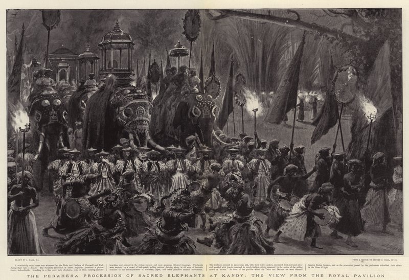 Die Perahera-Prozession der heiligen Elefanten in Kandy, der Blick vom Königspavillon von Joseph Nash