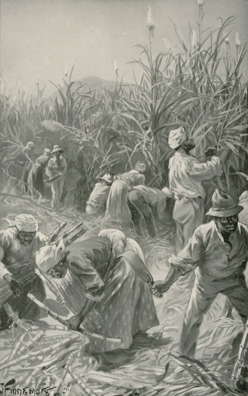 Schwarzer bei der Arbeit auf einer Zuckerrohrplantage in Jamaika von Joseph (after) Finnemore