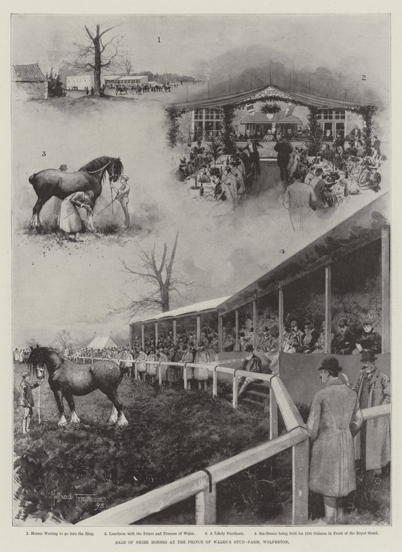 Verkauf von Shire-Pferden auf der Zuchtfarm des Prinzen von Wales, Wolferton von Joseph Holland Tringham