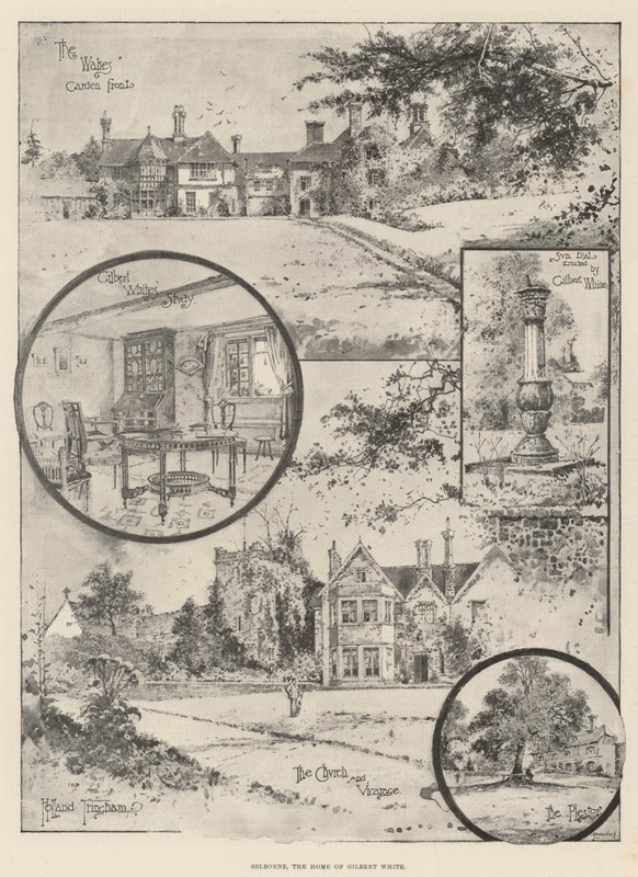 Selborne, das Zuhause von Gilbert White von Joseph Holland Tringham