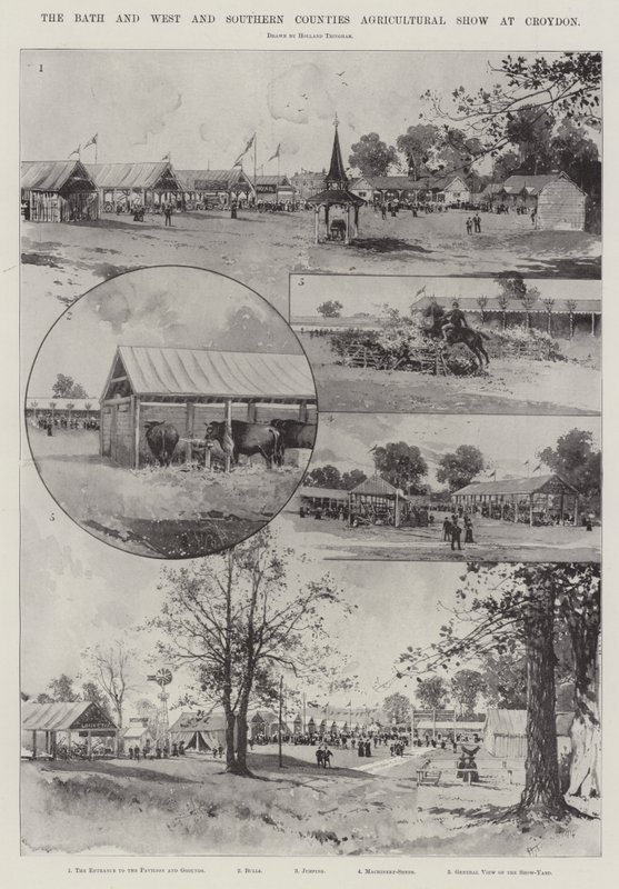 Die Bath and West and Southern Counties Agricultural Show in Croydon von Joseph Holland Tringham