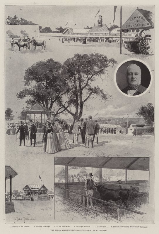 Die Ausstellung der Royal Agricultural Society in Maidstone von Joseph Holland Tringham